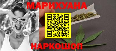 СК Кингисепп