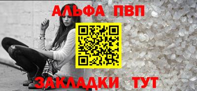 СК Кингисепп