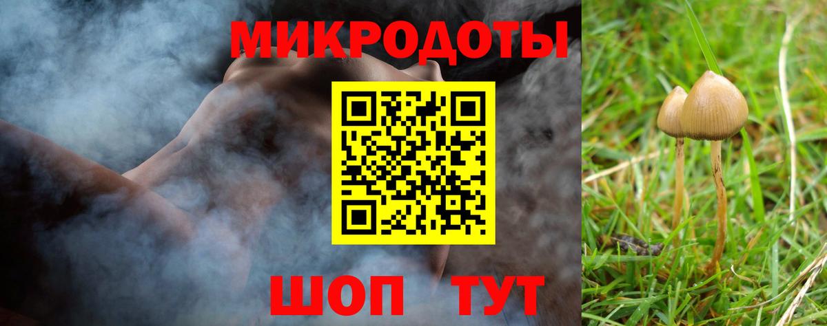 Междуреченск  дарнет шоп  Вход с VPN  Галлюциногенные грибы Psilocybine cubensis 
